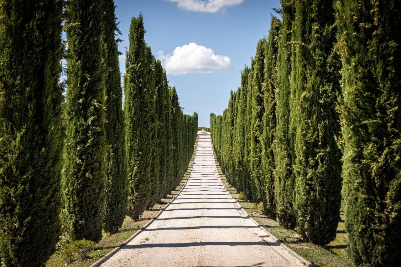 Fattoria Colsanto Villa Torre del Colle Bagian luar foto