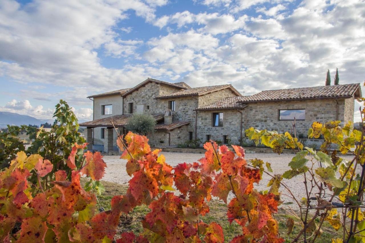 Fattoria Colsanto Villa Torre del Colle Bagian luar foto